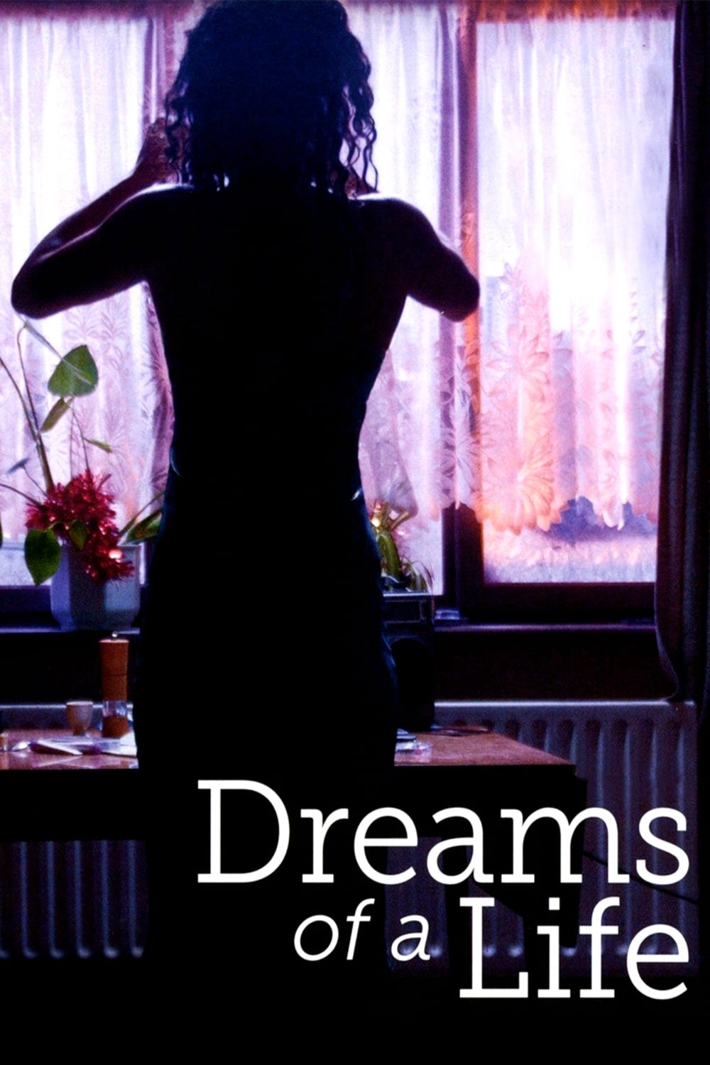 Постер Dreams of a Life